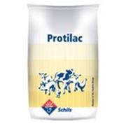 Protilac / Протилак фотография
