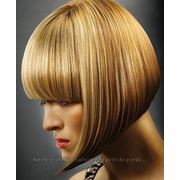 Курсы парикмахеров для начинающих фото