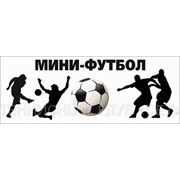 Крытые площадки для Мини-футбола фото