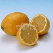 Лимоны Турция фото