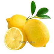 Лимоны фотография