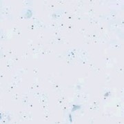 Столешница глянцевая поверхность Белая искра, артикул 9141 фото