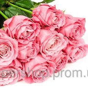 Букет долгосвежих роз Розовый Кварц 228-1841239 фотография