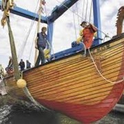 Строительство деревянных яхт, катеров, лодок, предназначенных для речных и морских круизов. фото