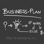 Бизнес-план по открытию предприятия (базовый) фотография