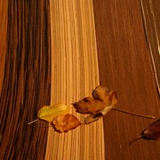 Шпон файн-лайн California Trading (fine-line, engineered wood) из натурального дерева фото