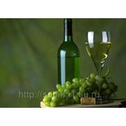 Питательная программа “Белое вино“ фото