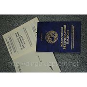 Оформление международного ветеринарного паспорта фото