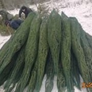 Сетка-рукав экструзионная полимерная упаковочная фото
