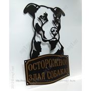 Табличка из металла “Осторожно! Злая собака!“ (Питбуль) фото