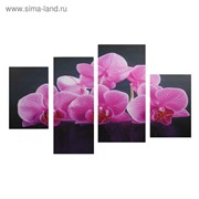 Картина модульная на подрамнике “Розовые орхидеи“ 2-30х45; 1-29,5х69; 1-34х69 фото