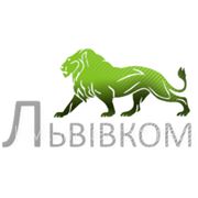 Флаєри львів фото