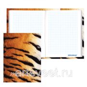 Блокнот А6 80л. тв.обложка Тигровый BRAUBERG фото