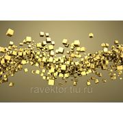 “Золотые кубики“ фото