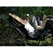 Карета в Ростове , свадьба, жених на коне 241-25-28,279-09-63 фото