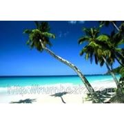 Сейшельские острова!!! фотография