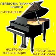 Перевезти рояль в Санкт-Петербурге фото