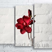 Модульна картина на полотні Червона квітка в білій вазі код КМ100130-032 фото