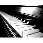 Настройка пианино, рояля Санкт-Петербург фото