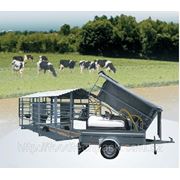 Мобильные системы пастбищного доения коров фотография