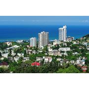Контейнерные перевозки из Москвы в Сочи фото