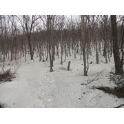 Земельный участок на Выселковой. фото