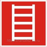 Пожарная лестница фото