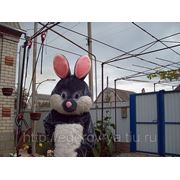 Прокат ростовой куклы Кролик фото