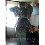 Прокат ростовой куклы Слон фото