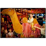 Верблюд, Лунтик,ростовая кукла на детский праздник. фото