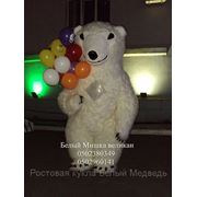 Белый Медведь на детский праздник