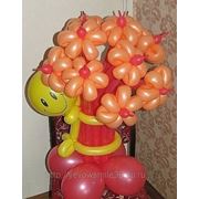 Букеты из воздушных шаров ( Калининград)