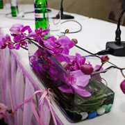 Оформлення конференцій та виставок квітами фотография