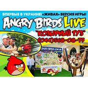 Аттракцион Angry Birds Live на Новый Год корпоратив аренда фотография