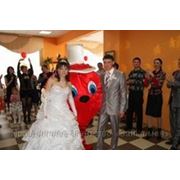 Свадьба Детский праздник Корпоратив Юбилей выезды фото