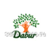 Дабур Индия ЛТД фото