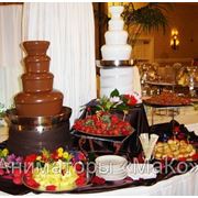 Шоколадный фонтан и фруктоваые пальмы.