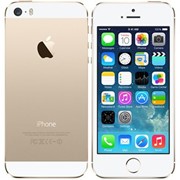 Мобильный телефон Apple iPhone 5S 32Gb Gold фото