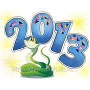Новый год 2013 фото