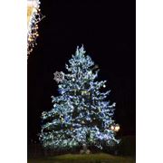 Украшение елки к новому году, новогоднее оформление елки гирляндами и декором, иллюминация уличных елок фотография