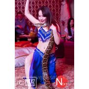 Танец со змеей в исполнении Динары фото