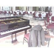 Настройка фортепиано (пианино и роялей) фото