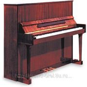 Настройка пианино и роялей в Орле фото