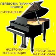 Консультация при покупке рояля фото