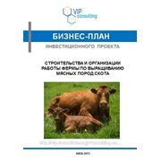 Бизнес-план инвестиционного проекта создания фермы по выращиванию мясных пород скота