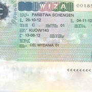 Визы в Польшу, ВНЖ, ПМЖ, регистрация фирм в Польше фото