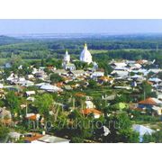 Г.Урюпинск - “родина козы“. фото