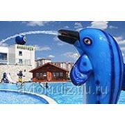 Тур - аквапарк Барионикс г.Казани 21 июня фотография
