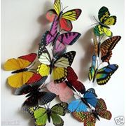 Бабочки на магнитах 3D фото
