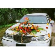 Композиция из цветов на капот и багажник свадебного автомобиля. фото